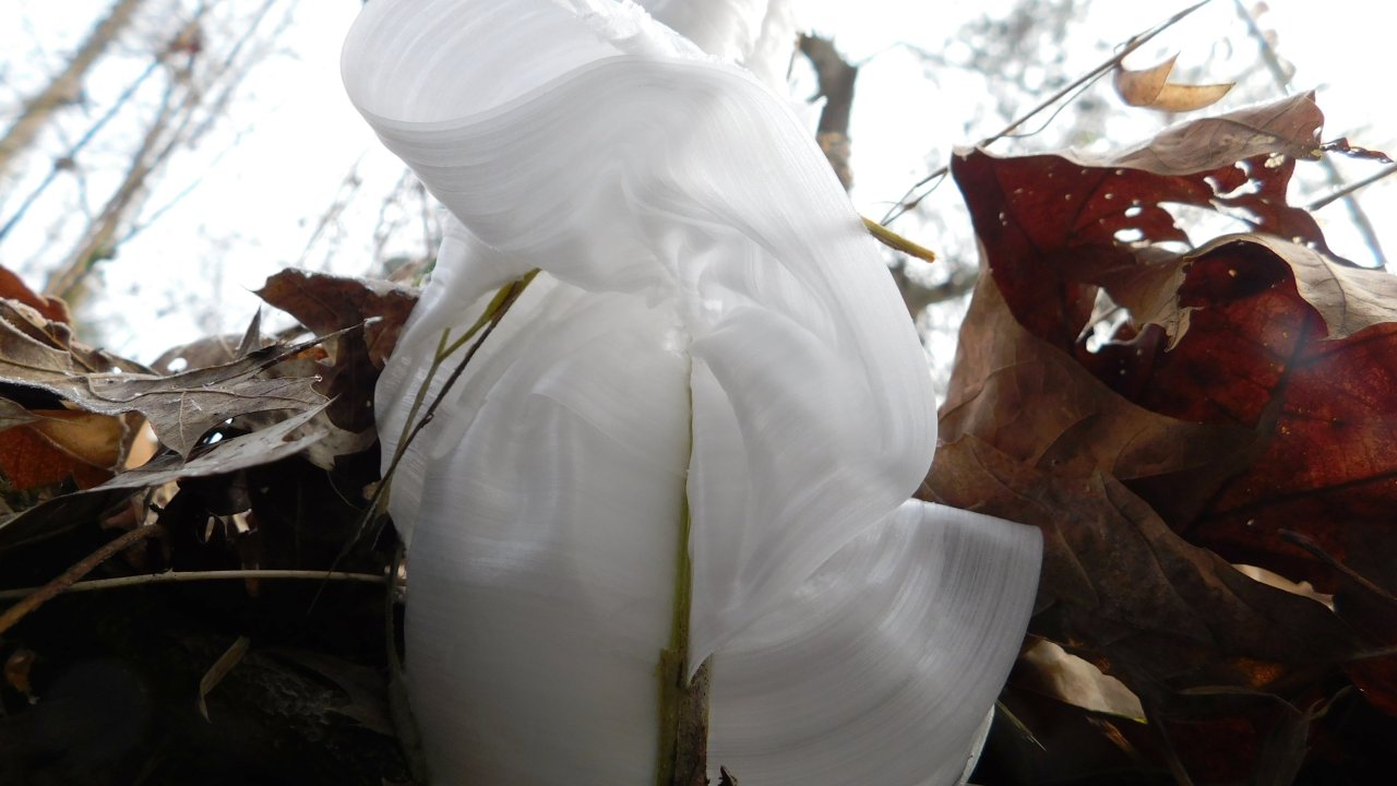Crushed white plastic bottle nestled among fallen leaves.