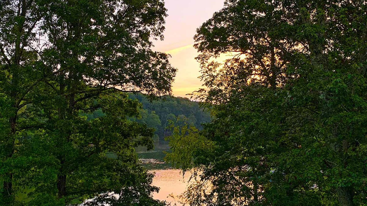 Sunset over a tranquil lake with silhouetted trees.