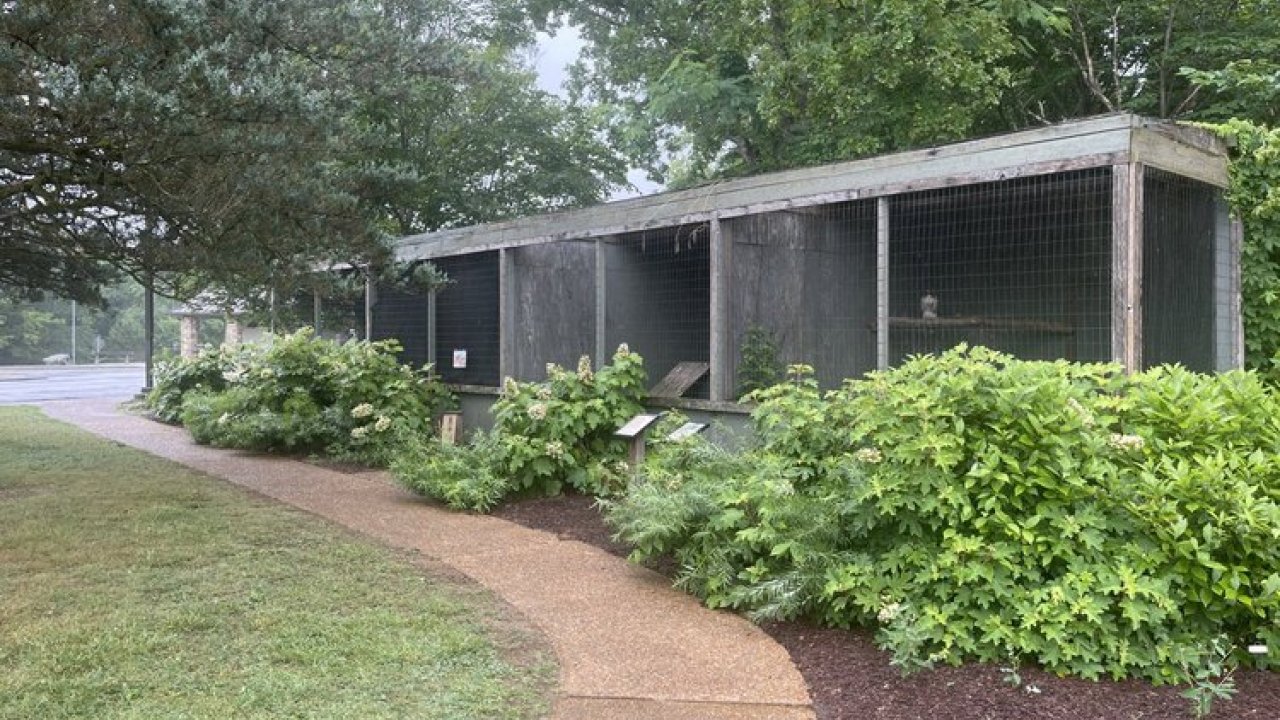 Sidewalk leading to a small pavilion surrounded by lush bushes on a foggy day.