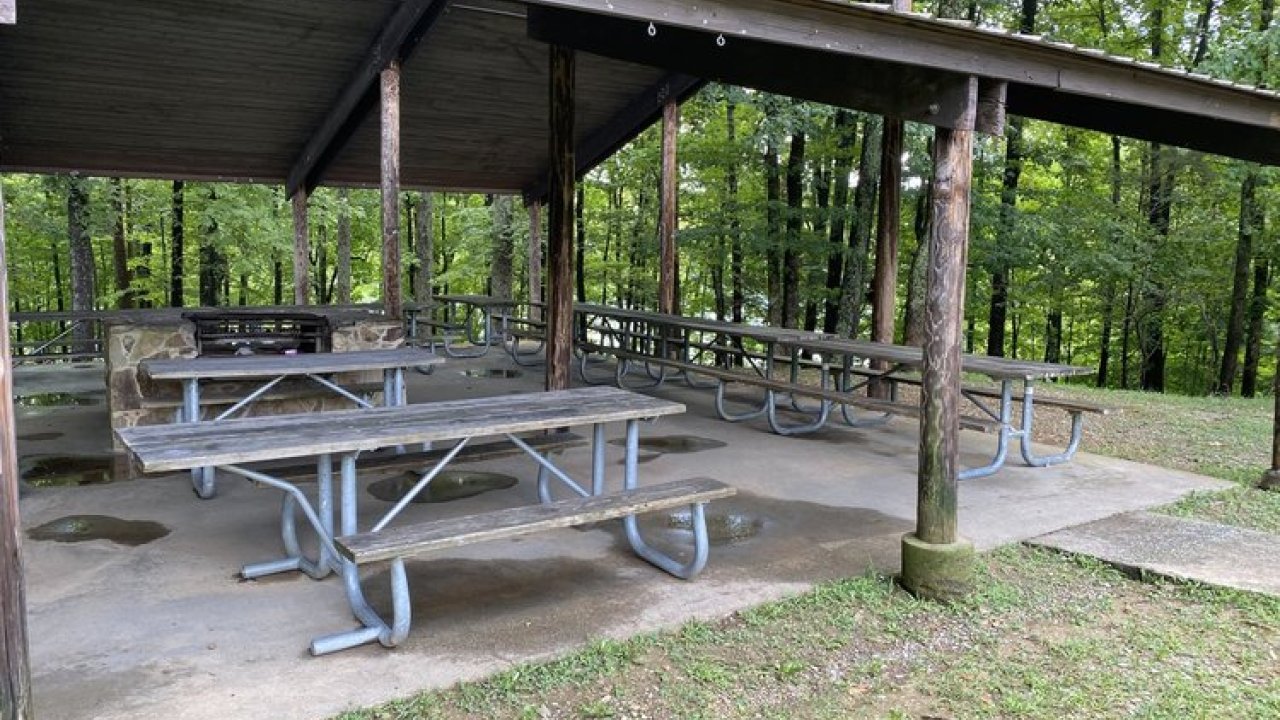 Picnic area with metal tables under a shelter surrounded by trees.