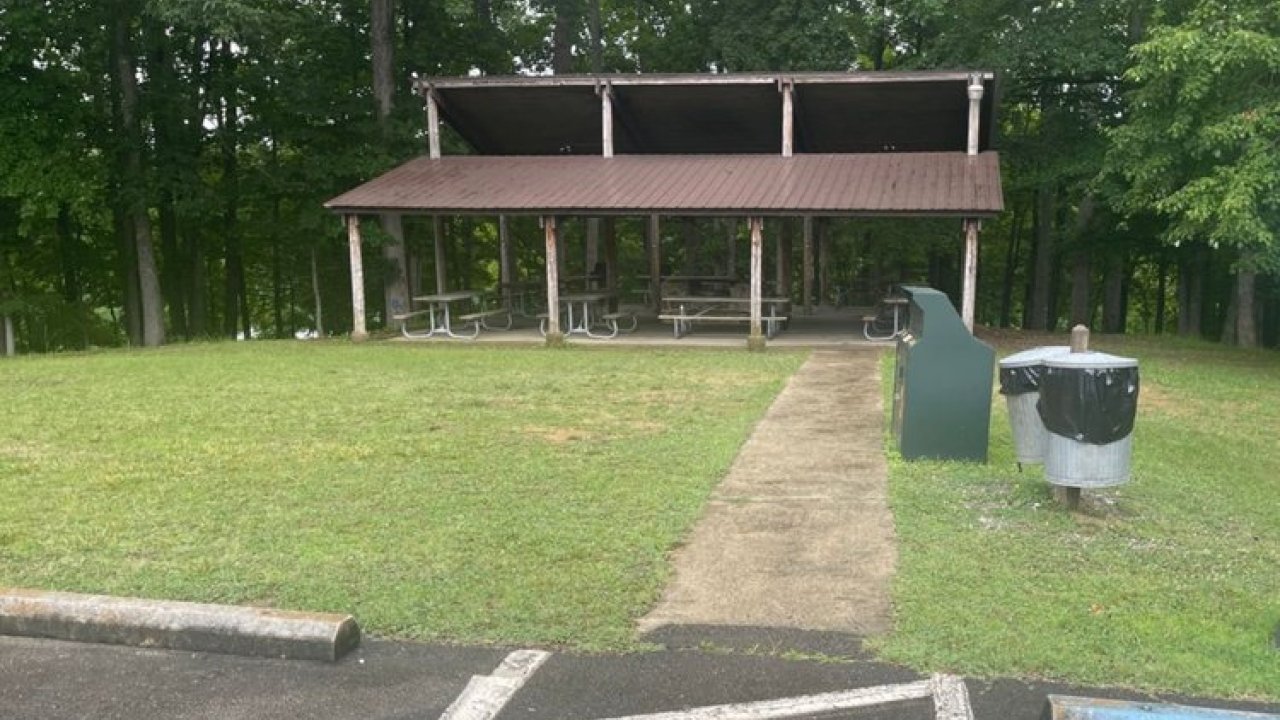 Outdoor picnic pavilion with tables and trash bins, bordered by trees.