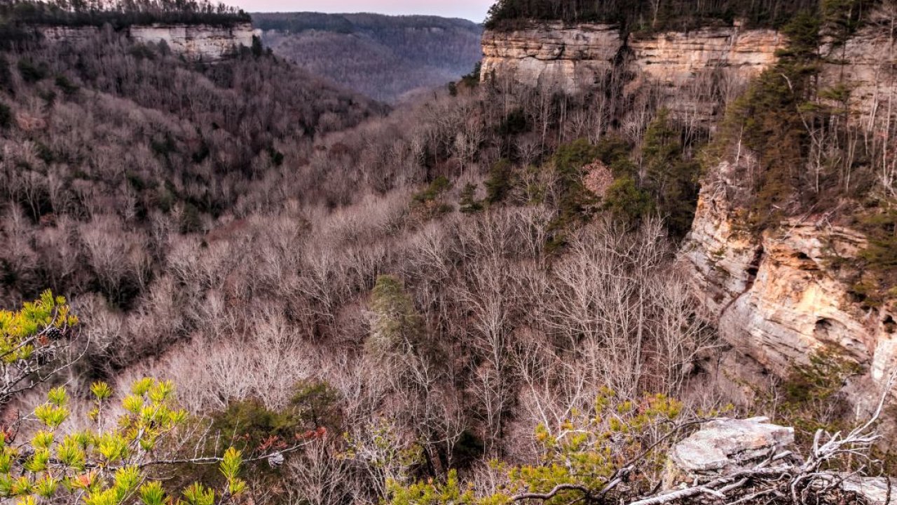 Sunset over a rugged canyon with forested cliffs.