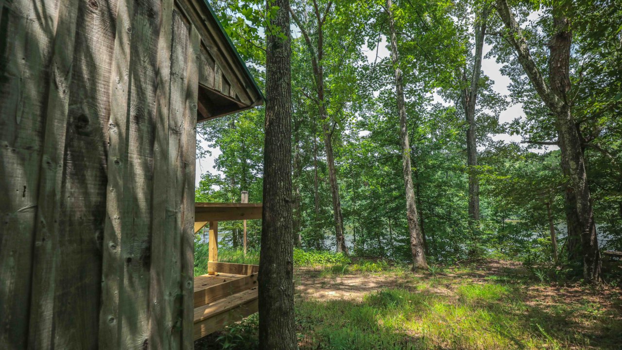Wooden cabin with porch in a lush green forest.