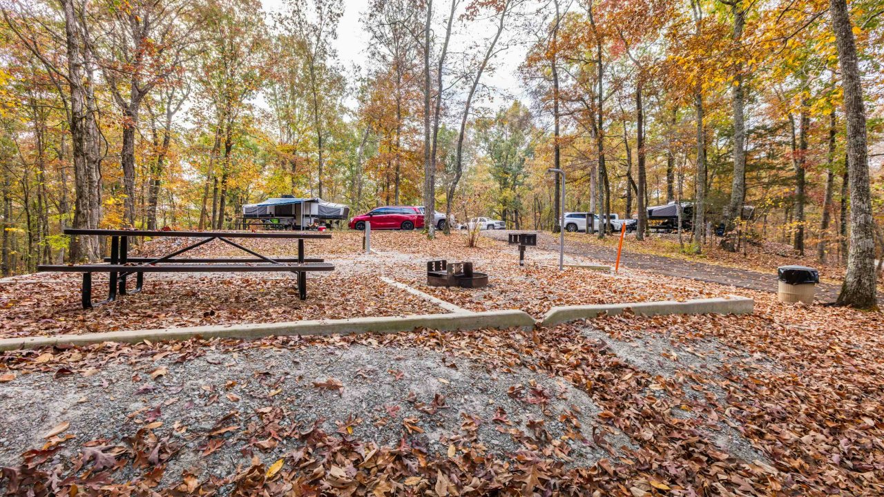 Autumn campground scene with tents, vehicles, and a picnic area surrounded by trees.
