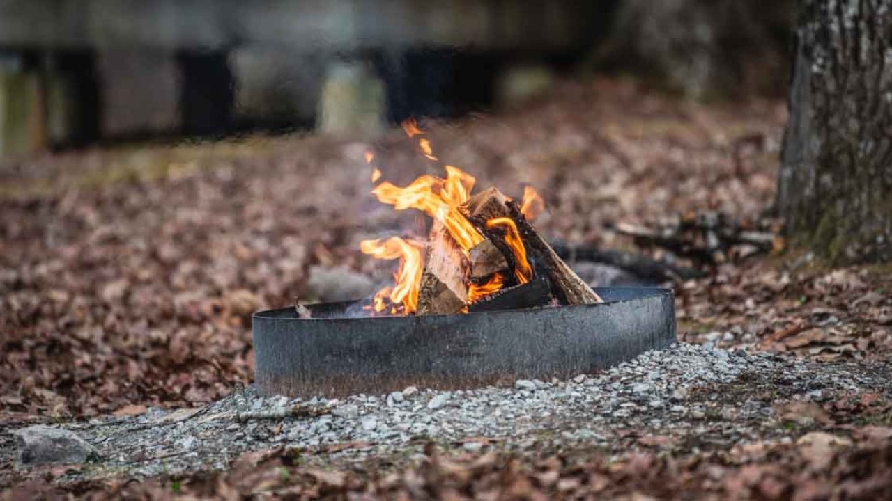 fire pit surrounded by dead leaves