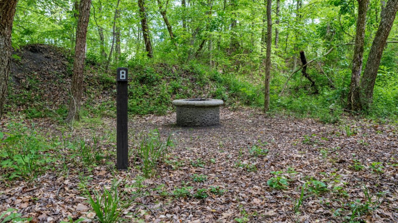 Stone well and signpost in a lush, forested area.