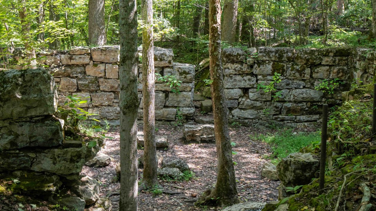 Ancient stone ruins in a dense forest with sunlight filtering through trees.