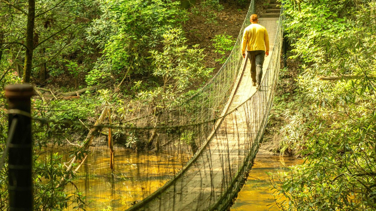 Person crossing a suspended bridge in a lush forest.