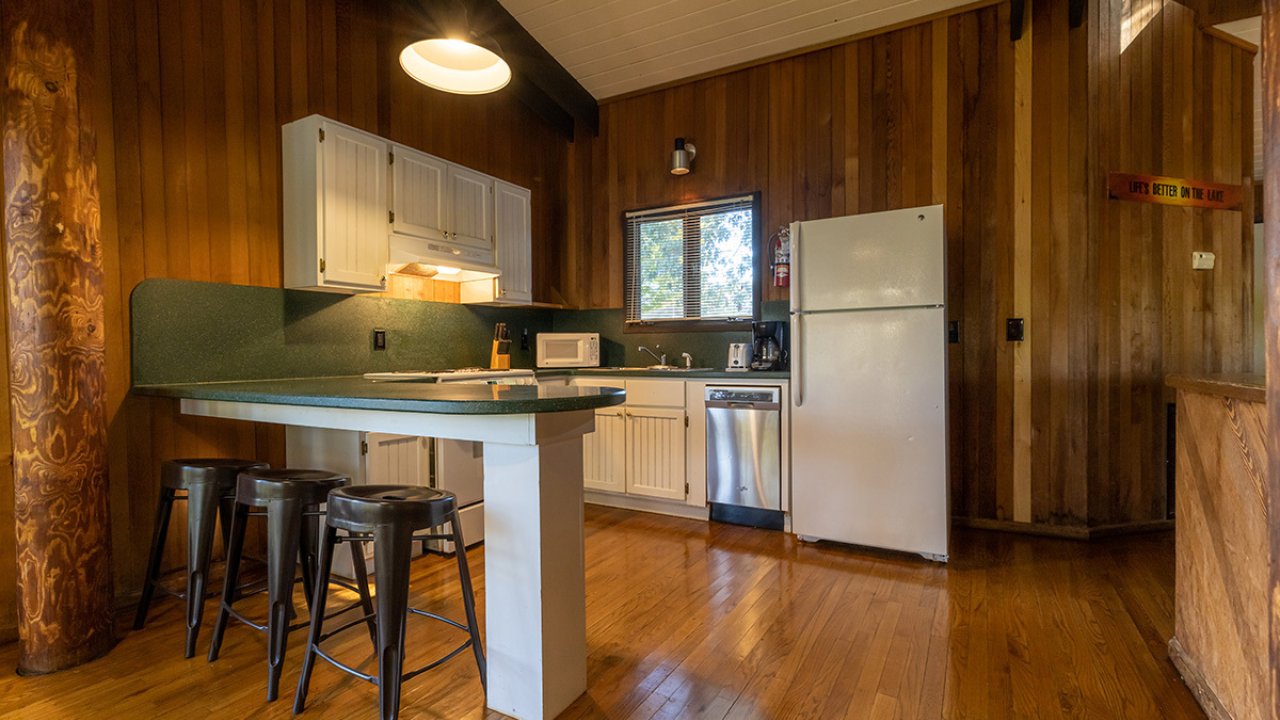 Cozy kitchen interior with wooden paneling, green counter, and modern appliances.