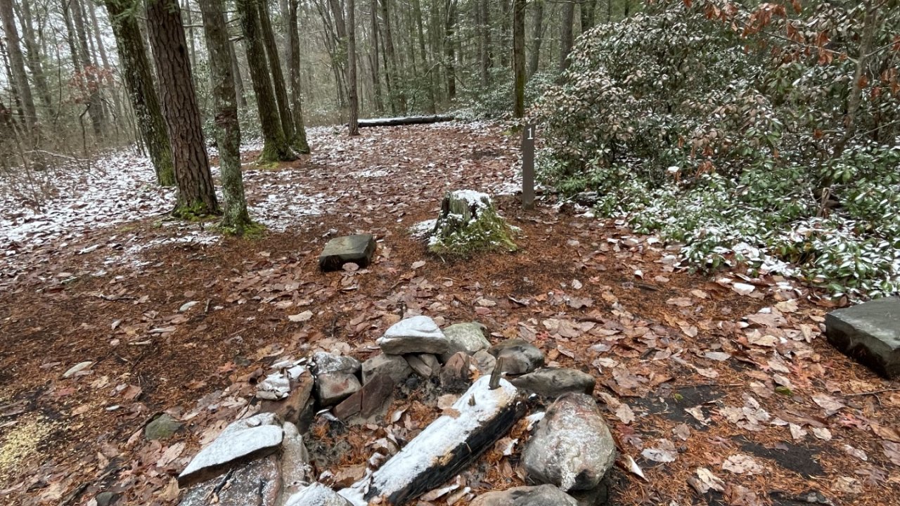 Rock circle in a snowy, wooded forest clearing.