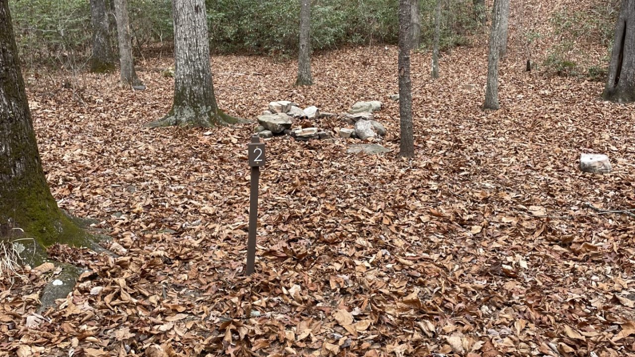 Forest clearing with trees, leaf-covered ground, and small stone piles.