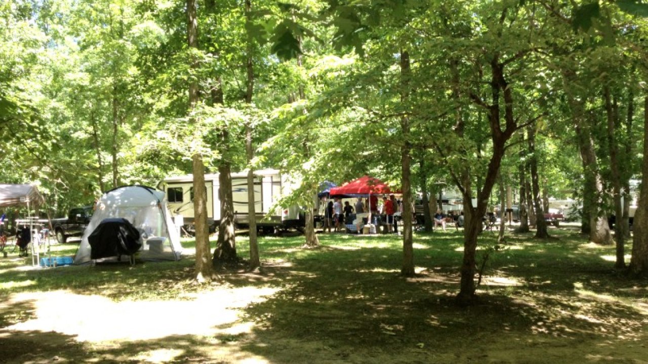 Sunlit park with food trucks and people under green trees.