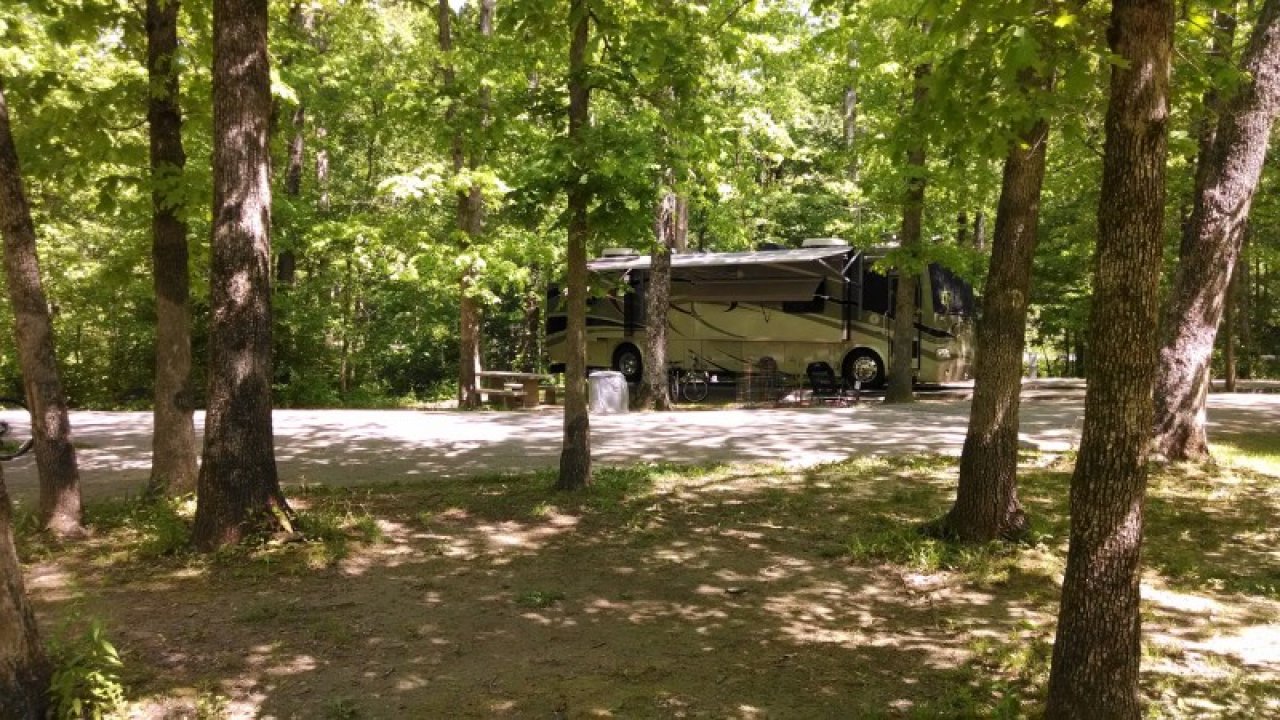 RV parked among trees in a forested campground during daytime.