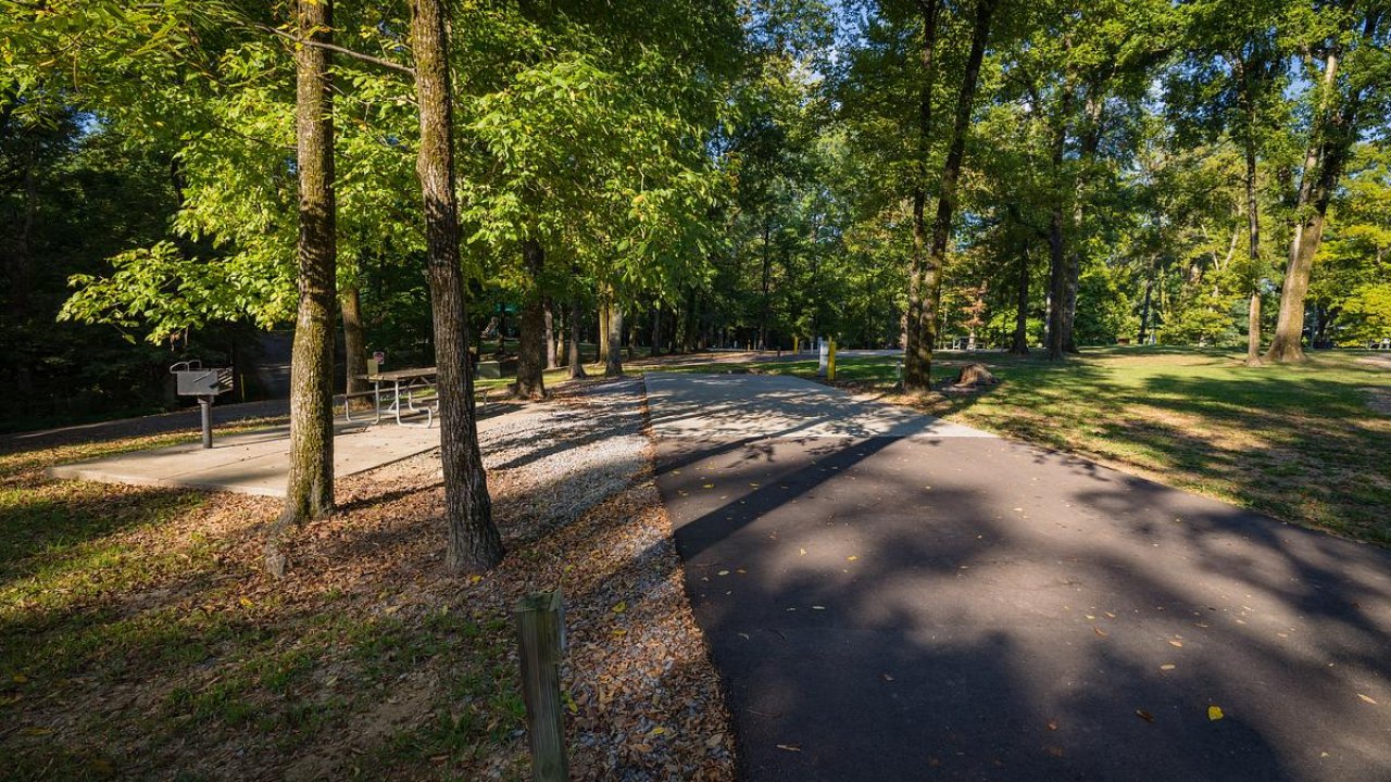 Sunny park with trees, picnic area, and paved path.