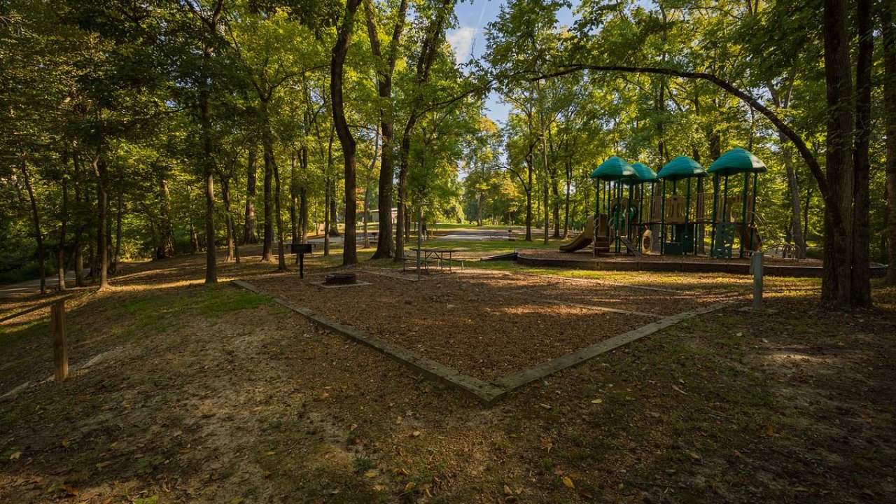 Playground in a forest, sunlight filtering through trees.