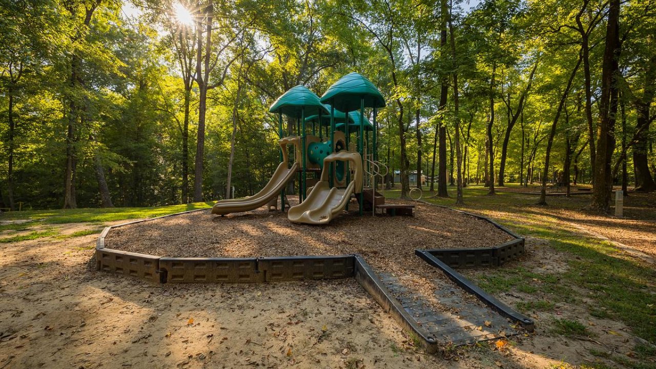 Playground slides in a sunlit wooded park.