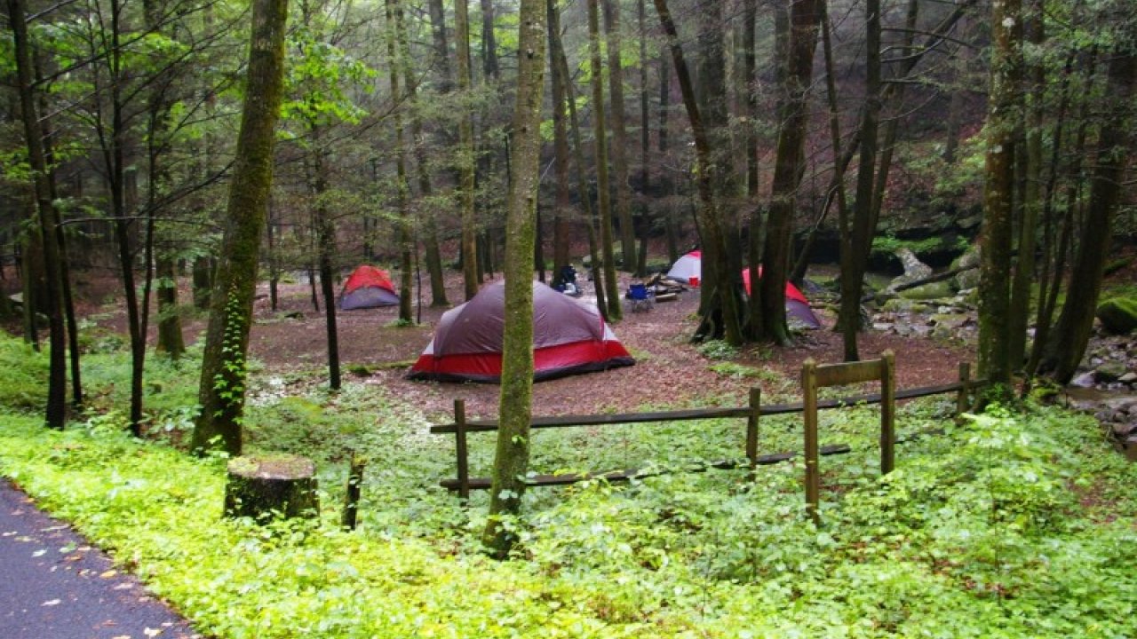 Forest campsite with red tents among trees, green grass, and a path nearby.