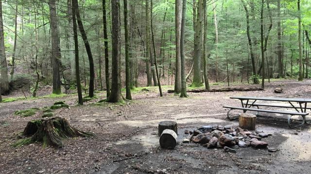 Forest campsite with fire pit and picnic table.