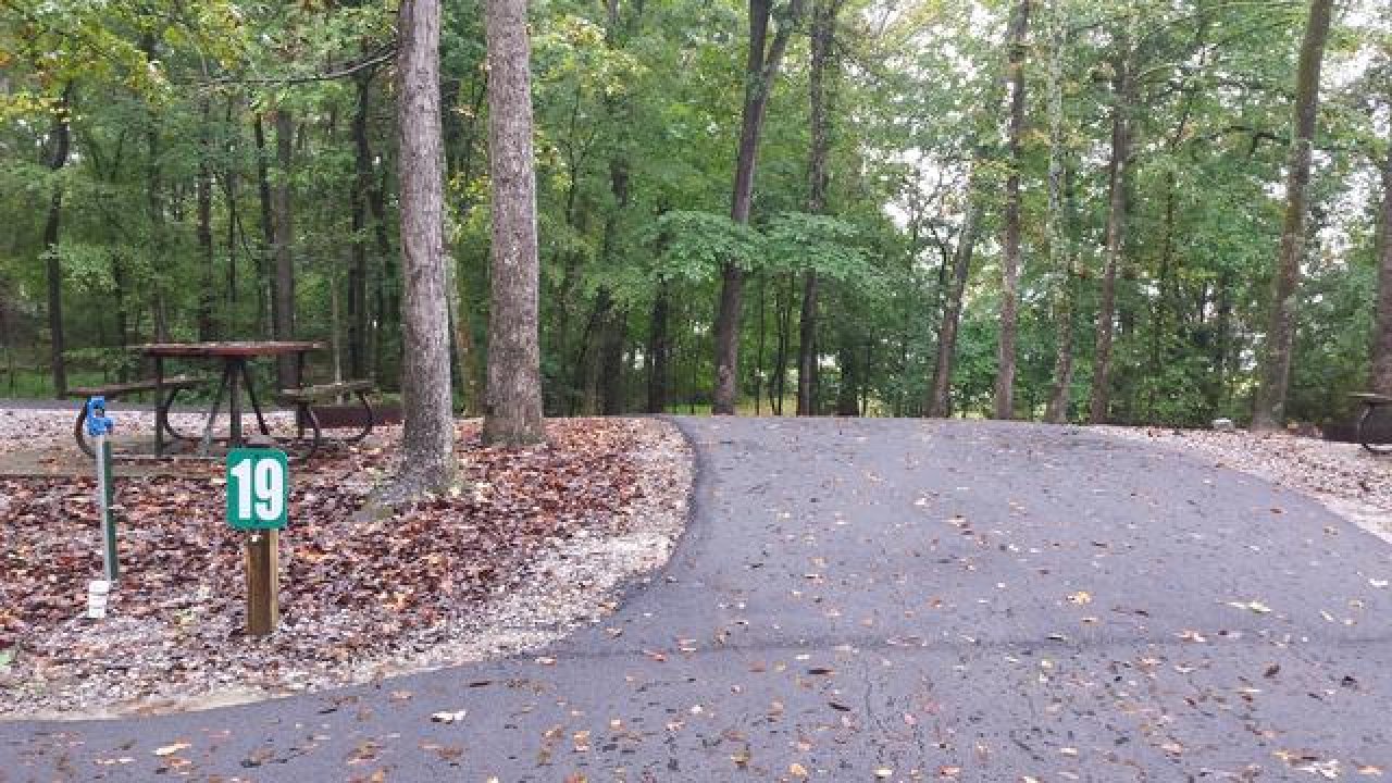 Campsite with picnic table, surrounded by tall trees.