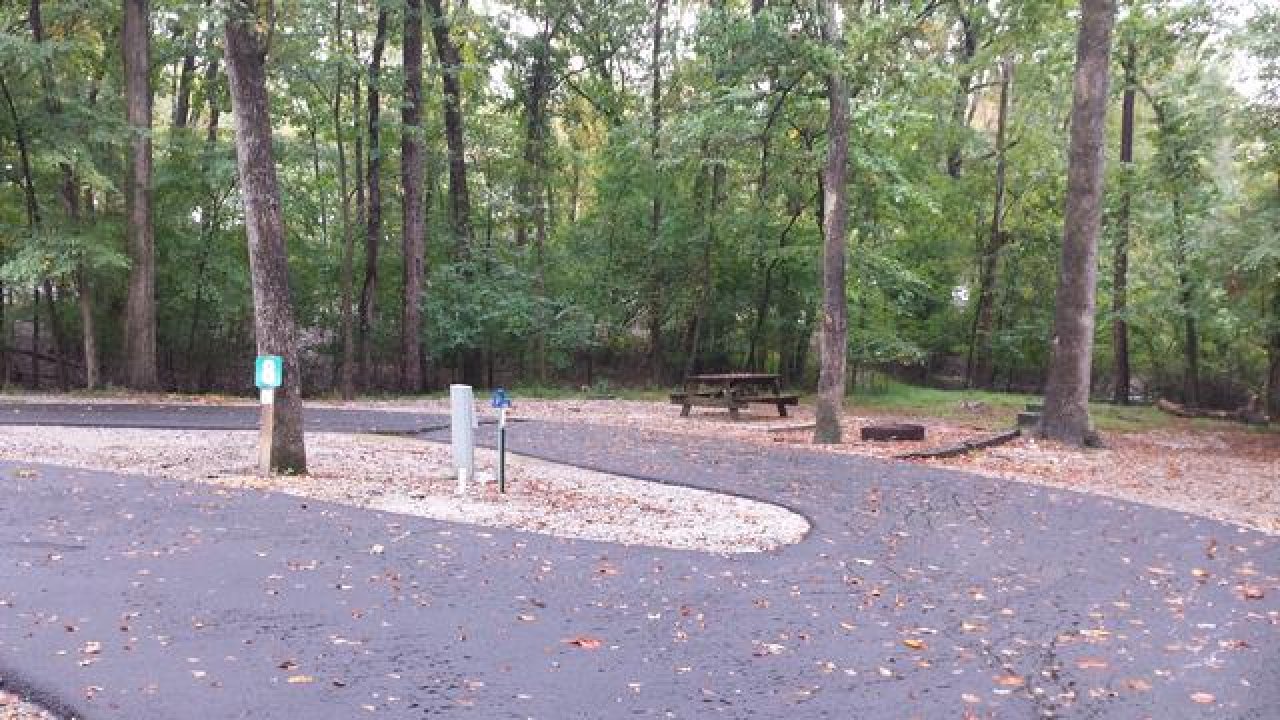 Forest campsite with paved road and picnic table.