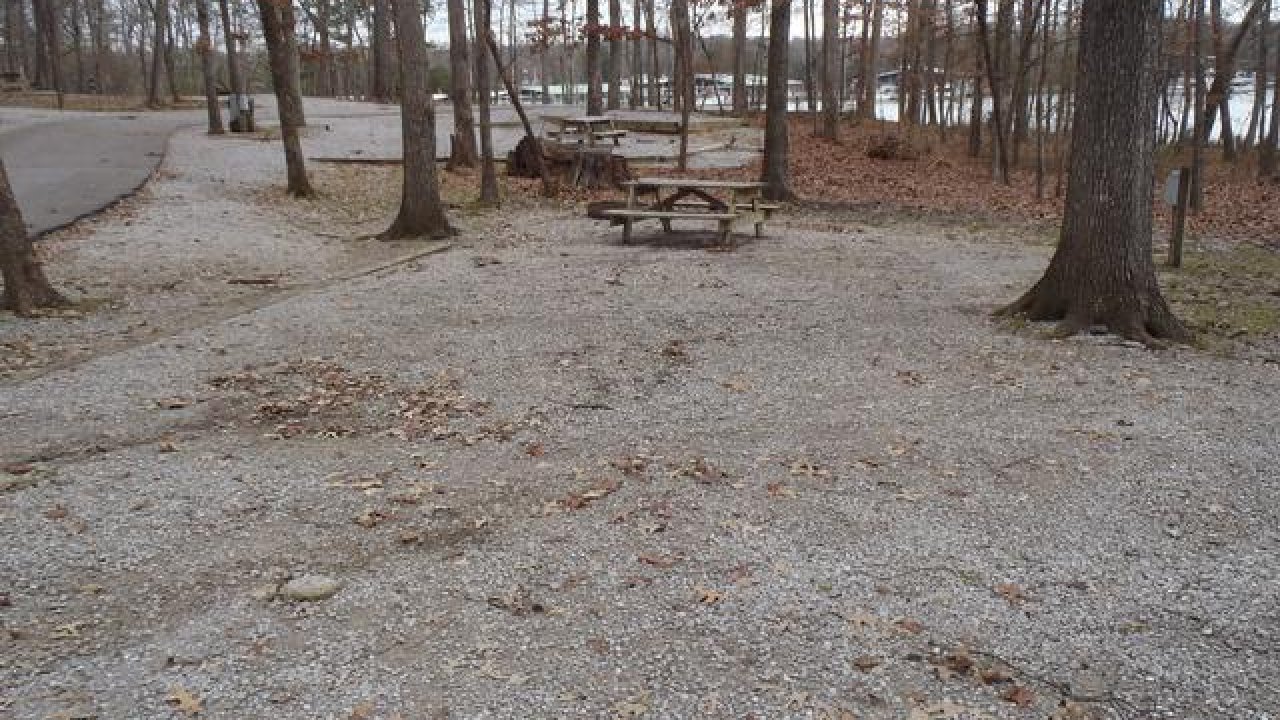 Gravel campsite with picnic table, surrounded by trees.