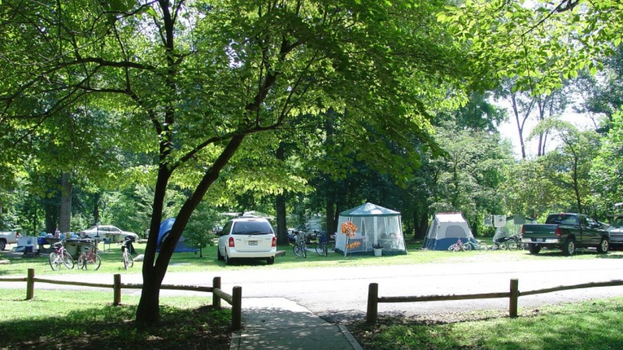 Camping area with tents, parked cars, and trees in a sunny park.