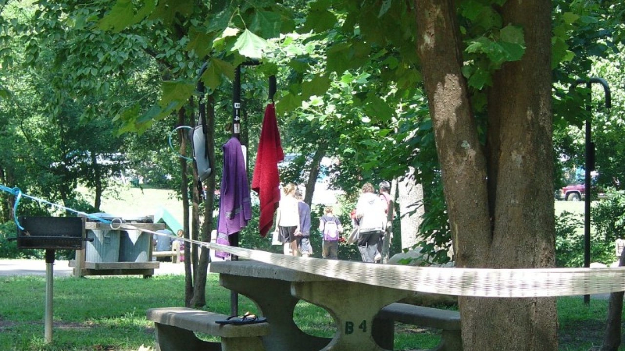 Park scene with picnic table, trees, and clothes hanging.