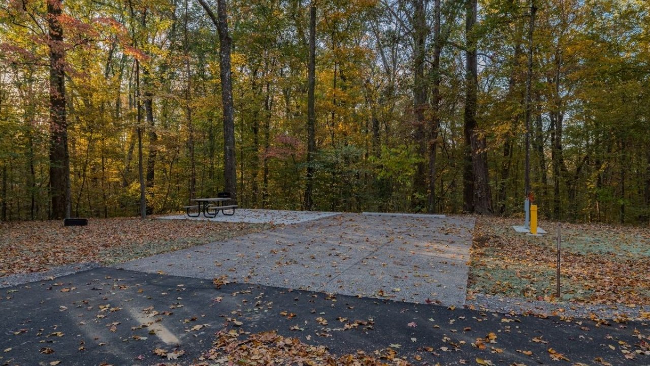 Campsite surrounded by autumn forest trees.
