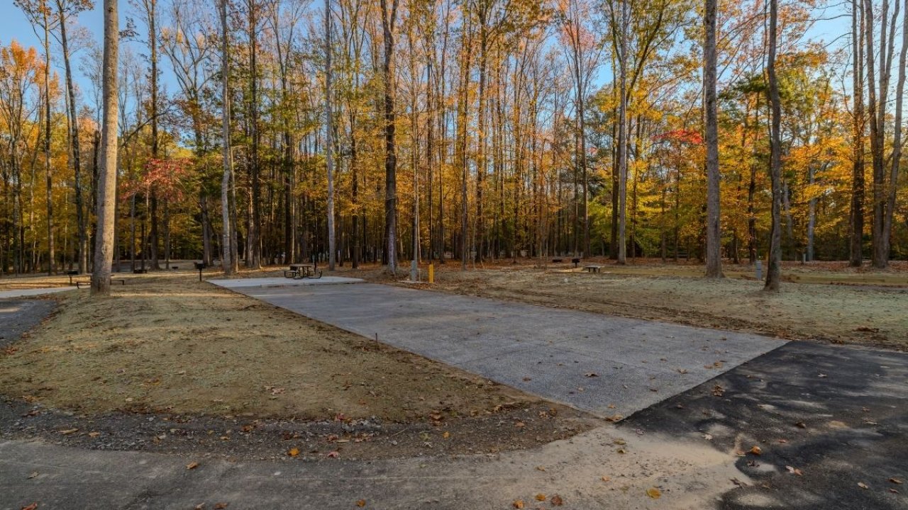 Concrete pad in a forest clearing surrounded by autumn trees.