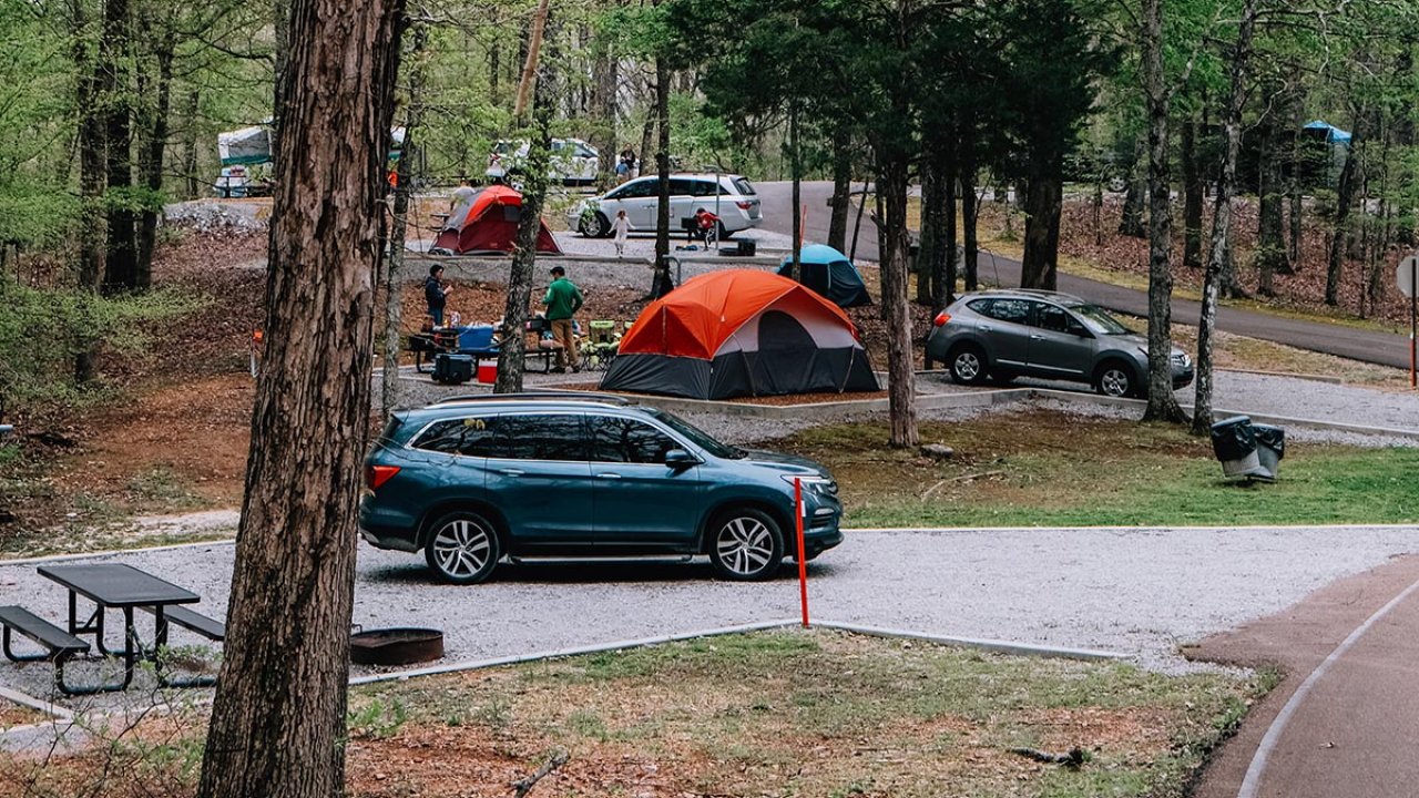 Camping site with tents, cars, and trees in a wooded area.