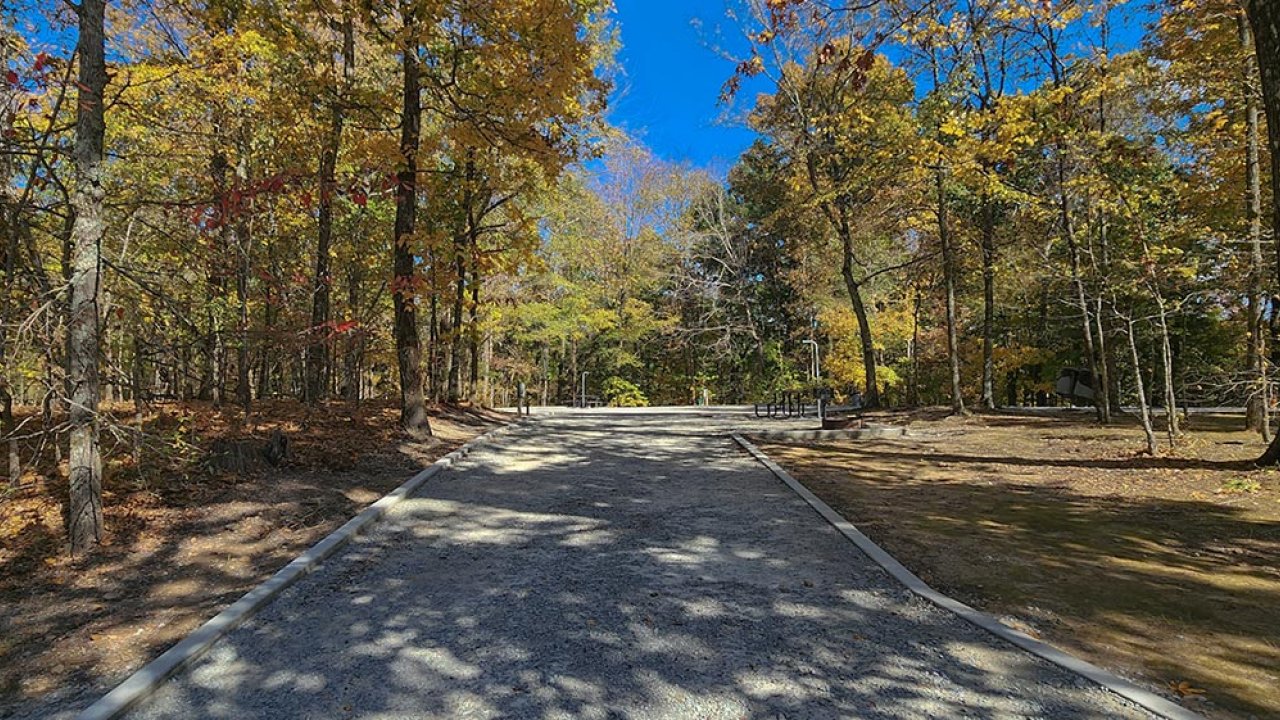 Path through autumn forest with yellow leaves under a clear blue sky.