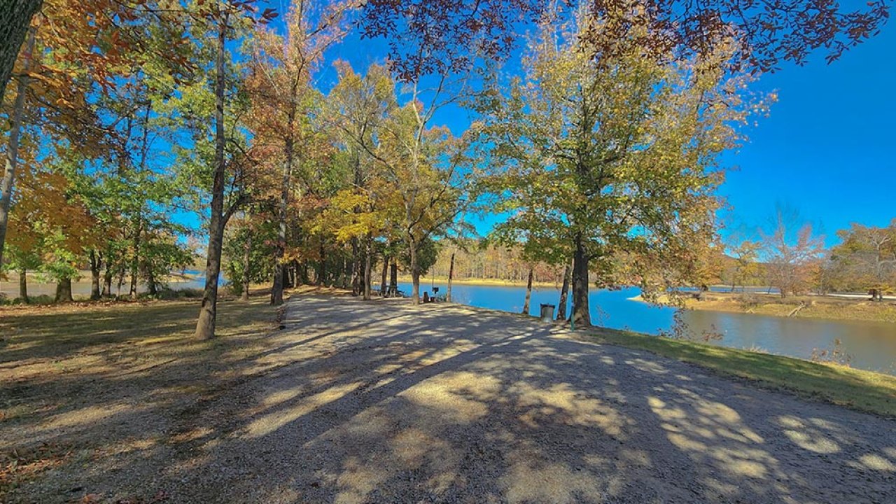 Sunny autumn park with trees and a waterfront path.