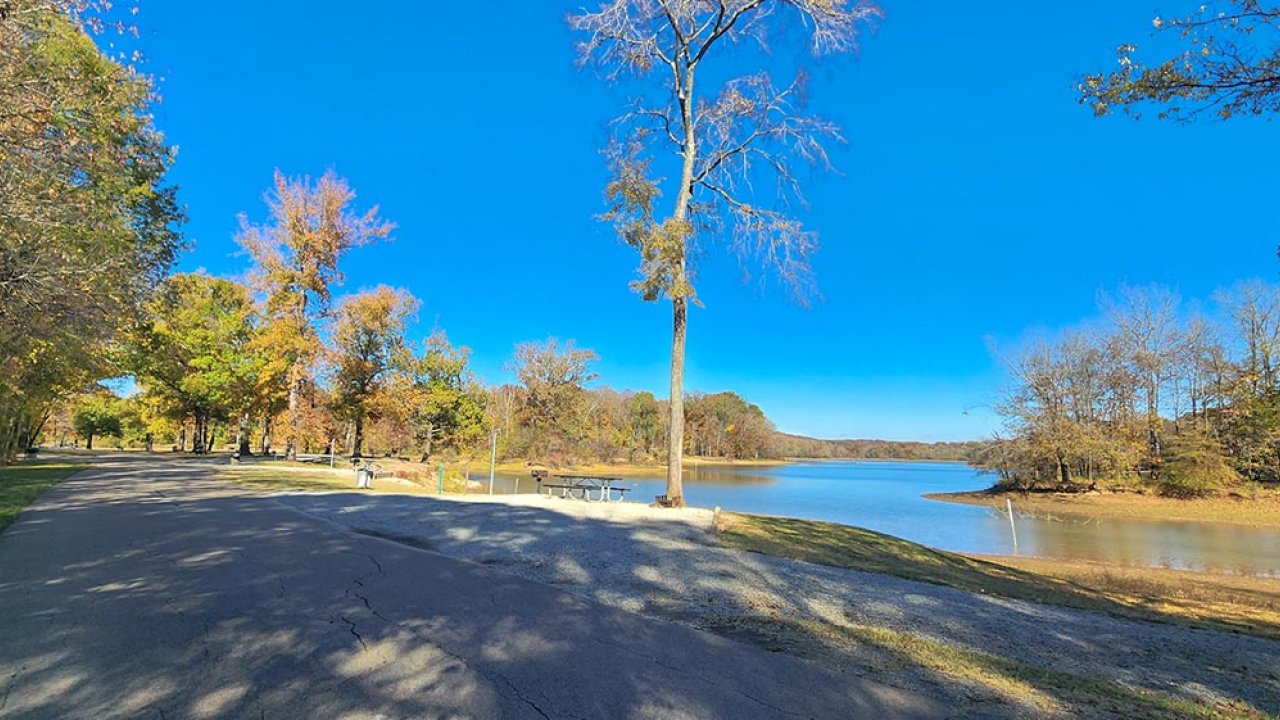 Path by a lake with autumn trees under a clear blue sky.