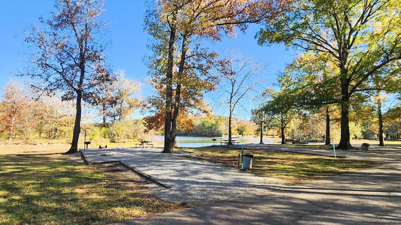 Park with trees, a pathway, and a pond under a clear blue sky.