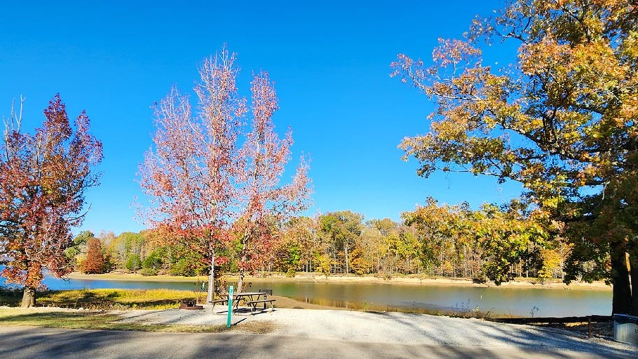Autumn trees by a calm lake under a clear blue sky.