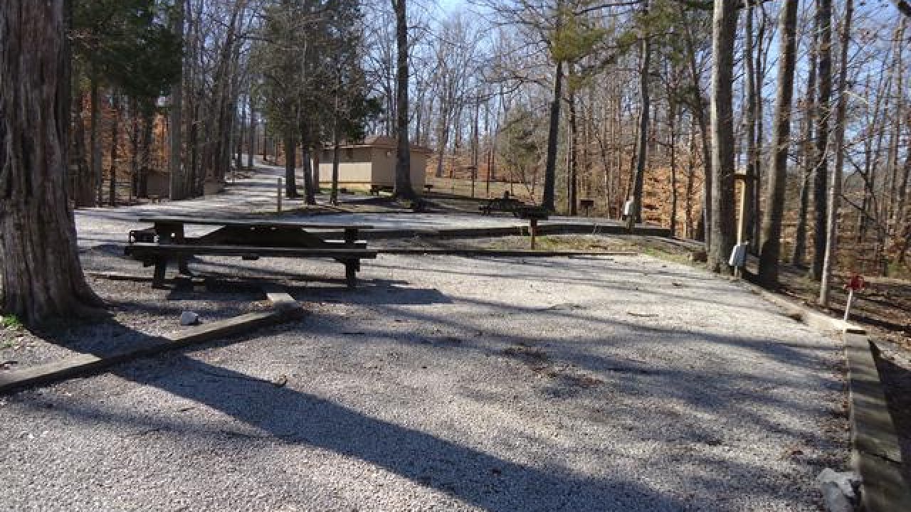 Gravel path in a wooded park with benches under bare trees.