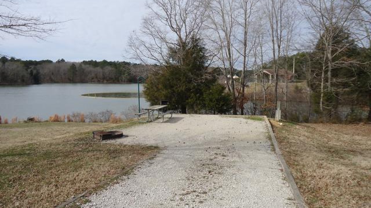 Gravel path leading to a lake, trees without leaves, overcast sky.