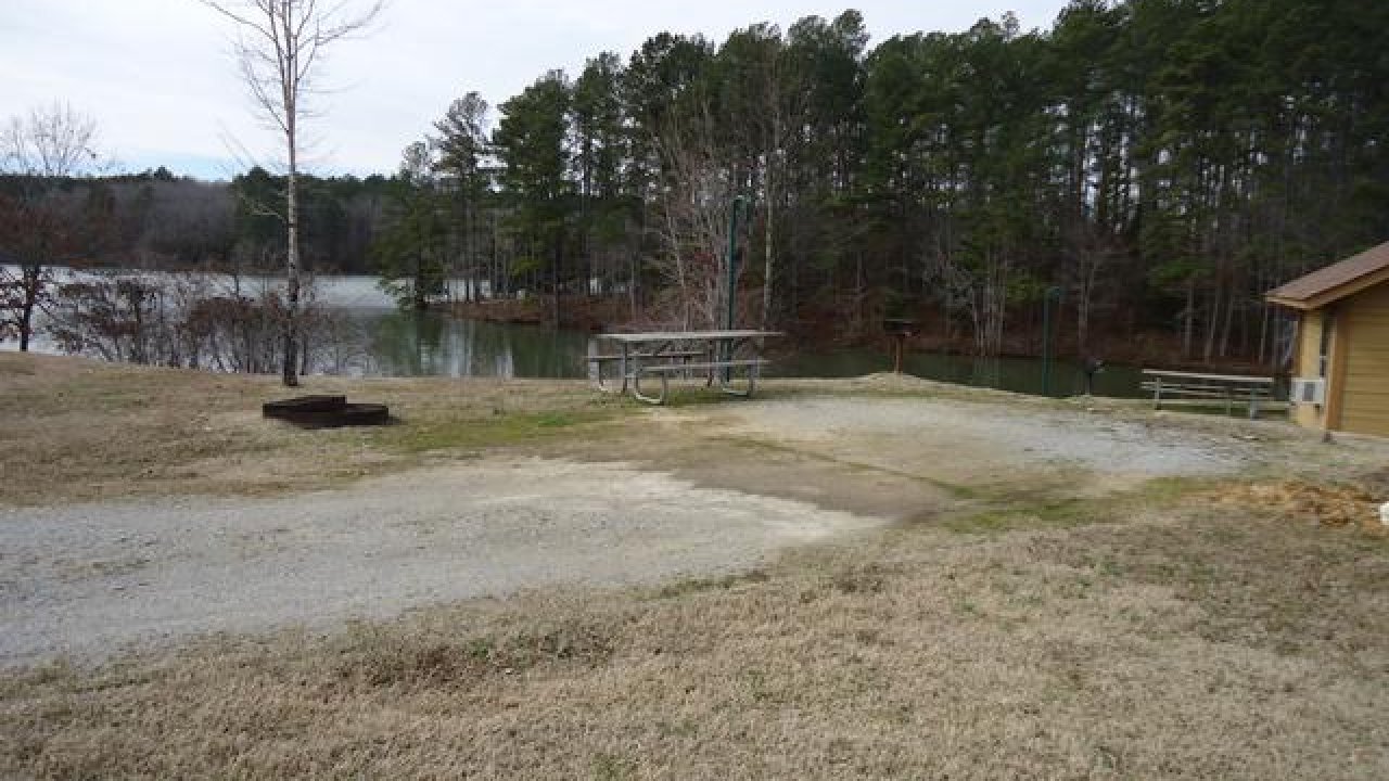 Gravel path near a lake with trees and picnic tables.