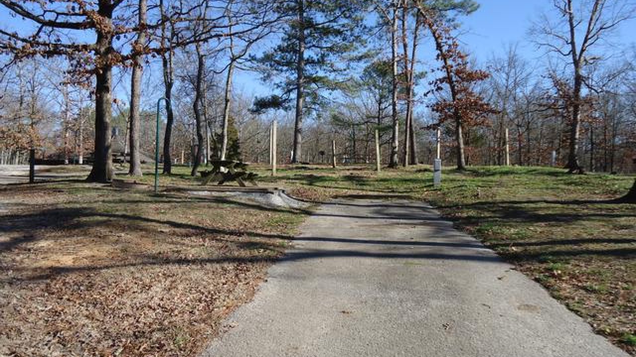 Paved path through park with bare trees and blue sky.