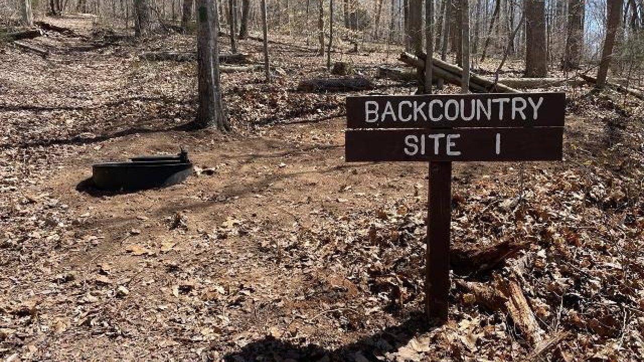 Backcountry Site 1 sign in a forest clearing with fallen leaves, trees, and sunlight.