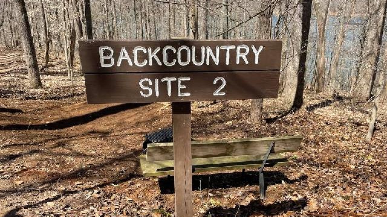 Backcountry Site 2 signpost in a wooded area.