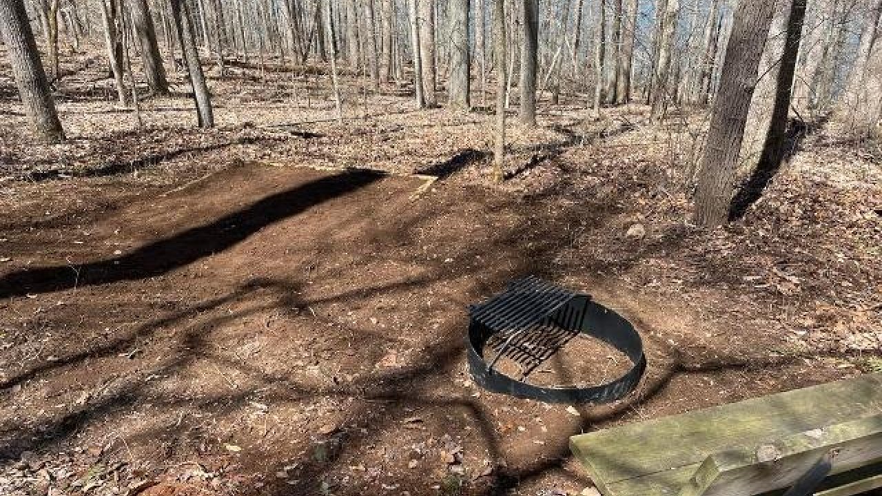 Woodland campsite with fire pit and picnic bench. Dry leaves scattered on the ground.