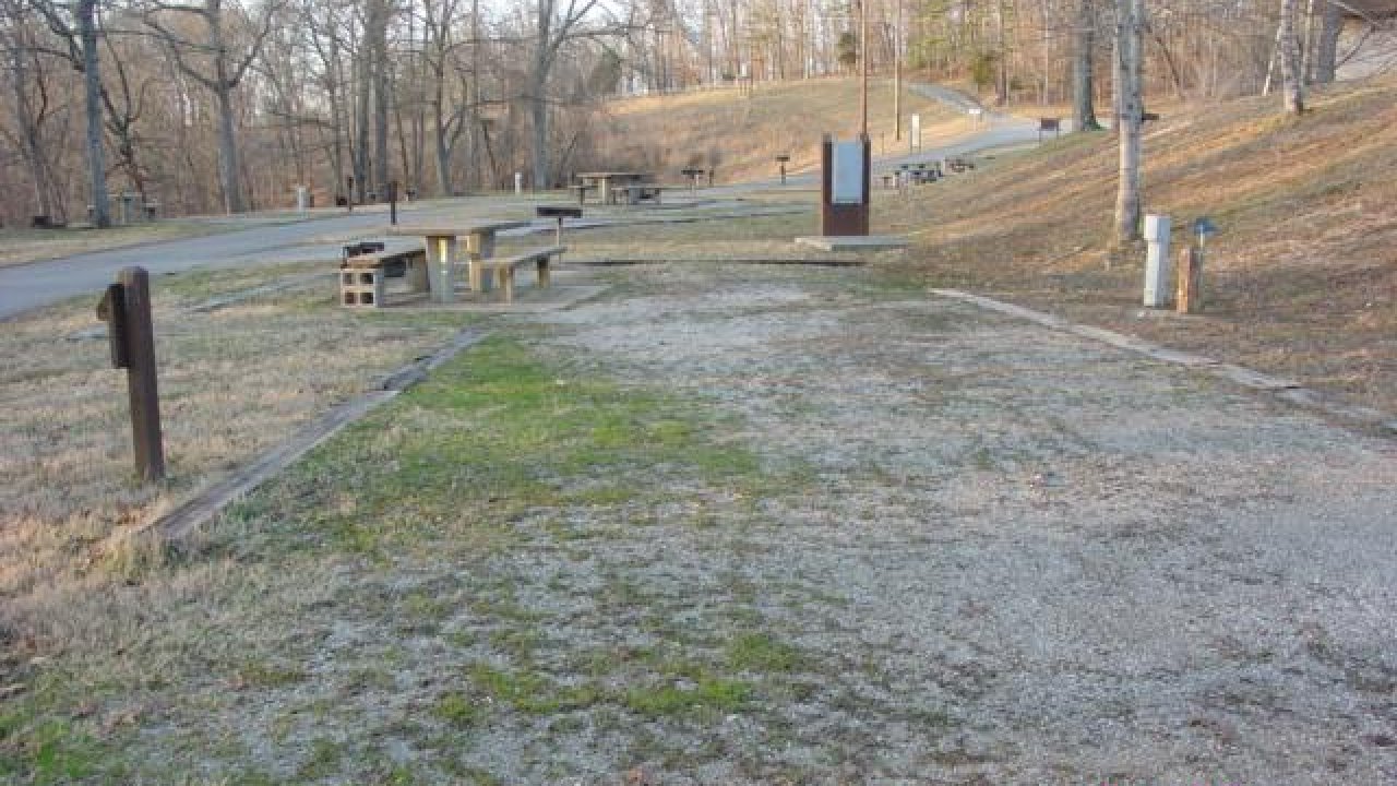 Empty campground with picnic tables, trees, and a dirt road on a clear day.
