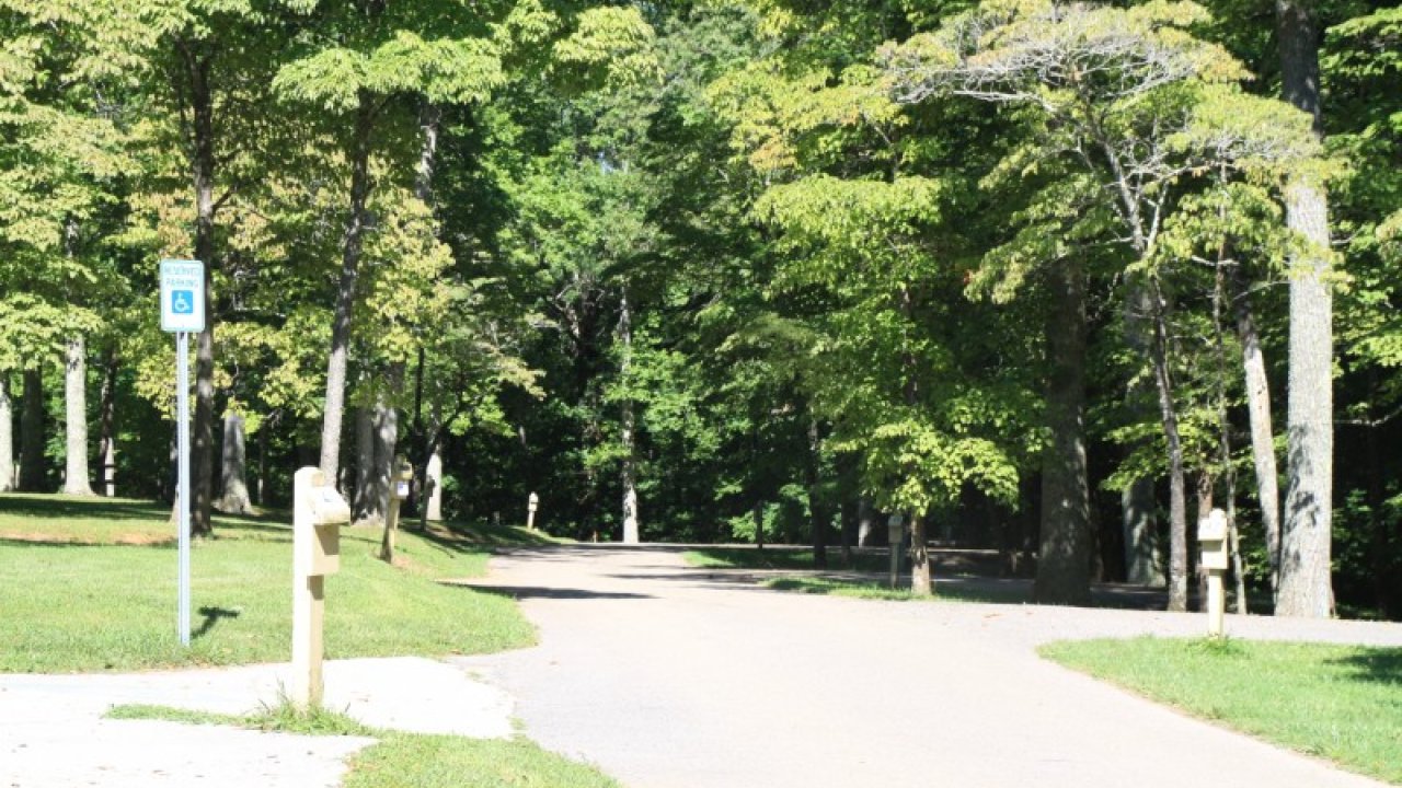 Sunny park path surrounded by green trees.