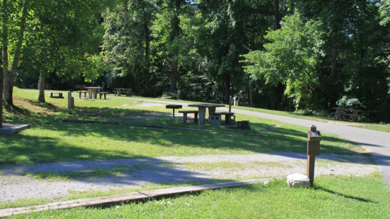 Green park with picnic tables, trees, and a pathway on a sunny day.