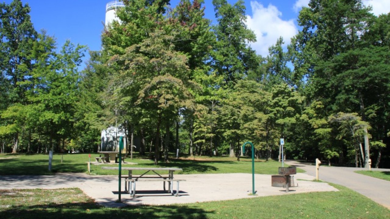 Park with picnic table, surrounded by trees and clear blue sky.