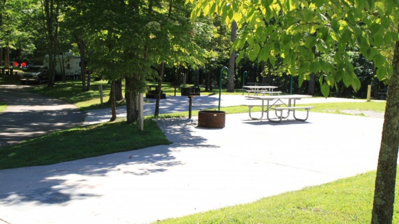 Sunny park scene with picnic table, grill, trees, and grassy area.
