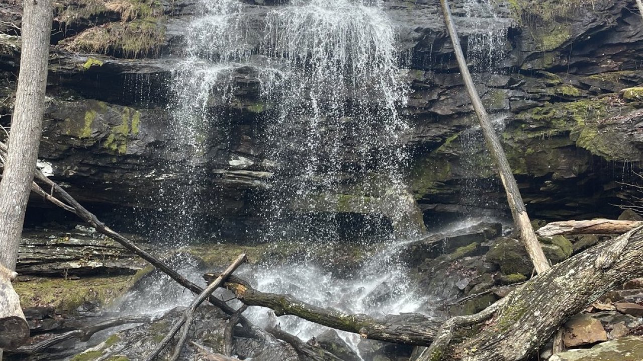 Waterfall cascading over rocks in a forest with bare trees.
