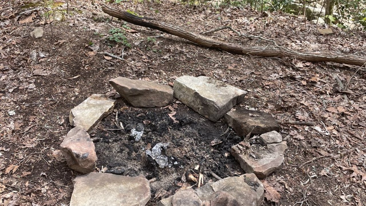 Stone-ringed fire pit in a forest clearing with charred wood remains.