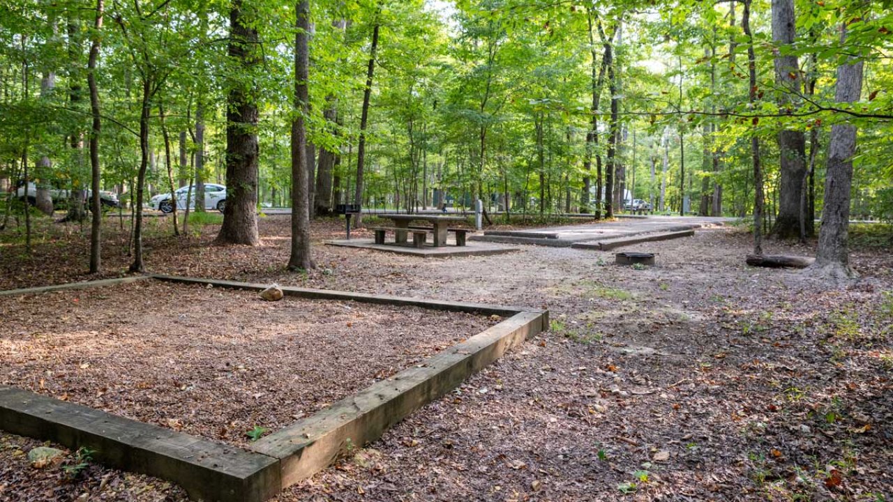 Wooded picnic area with tables and leafy trees.